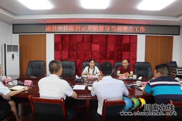 甘露到泸县云龙镇慰问困难党员并督导当前重点工作(图3)