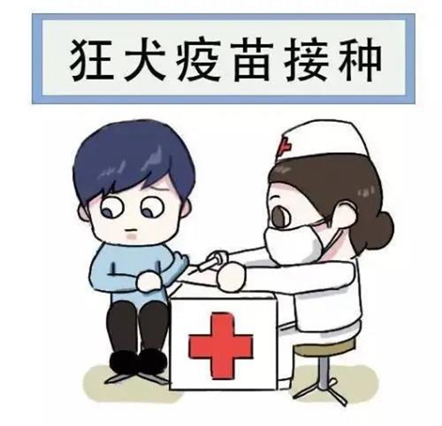 【关注】泸州大姐被狗咬伤，伤口流脓7天难愈！(图4)