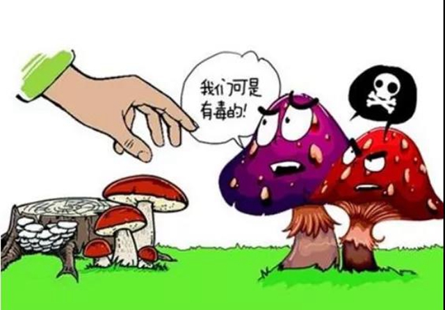 7月,泸州市民要关注这些疾病!(图3) 7月,泸州市民要关注这些疾病!(图3)