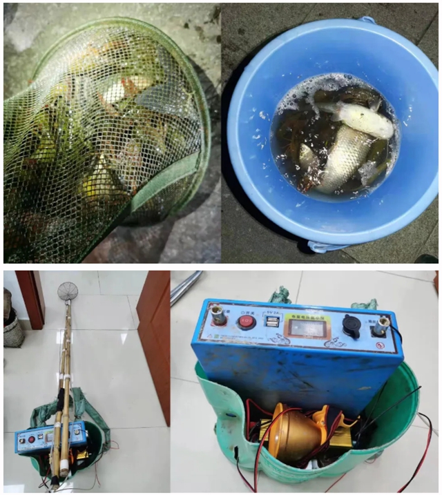 鲶鱼、鲫鱼、小龙虾，泸州男子深夜电鱼被抓，只因儿子想吃……