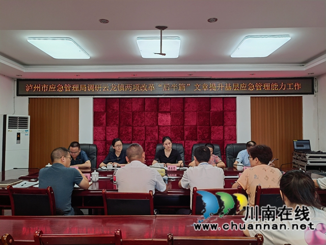 泸州市应急管理局到泸县云龙镇调研两项改革“后半篇”文章提升基层应急管理能力工作(图2)