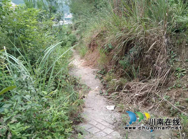 古蔺：大山深处传喜报，云上苗寨树标兵(图6)
