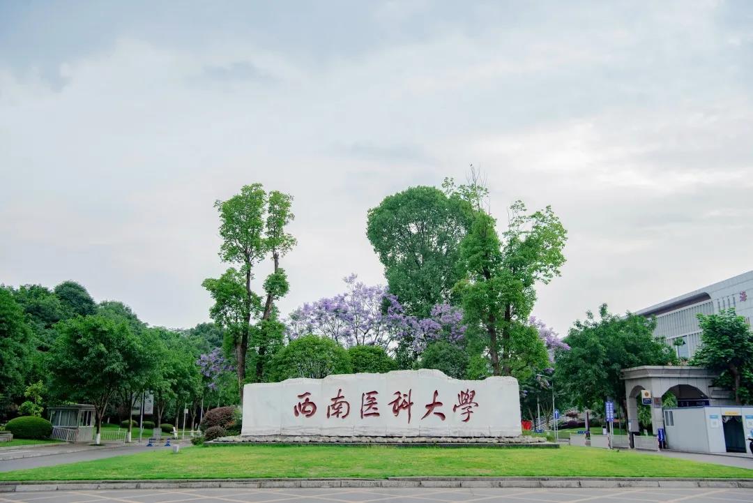 最高分613，西南医科大学完成2021年本科提前批免费医学生录取工作(图1)