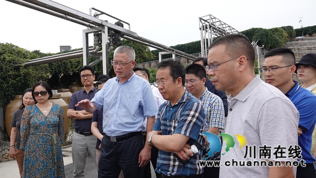 浙江省丽水市华侨代表团到古蔺县参观调研(图9)