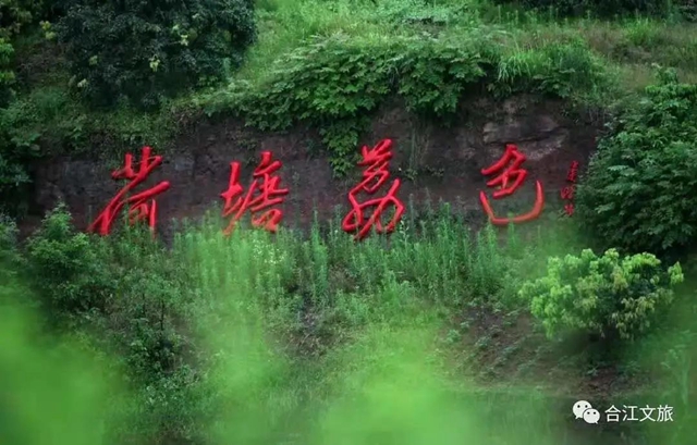 省级乡村旅游重点镇（乡）、村建议名单公示，泸州这些村入选！(图4)