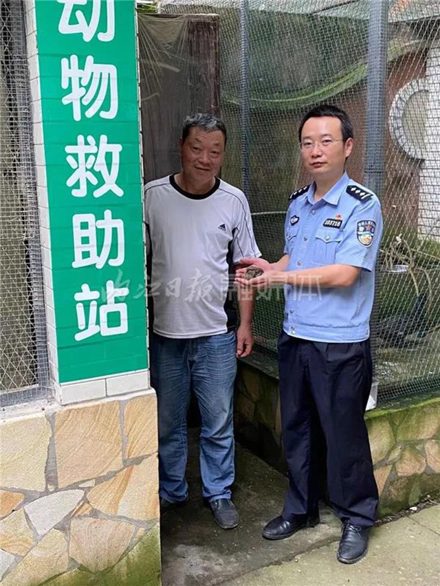 内江市民报警：发现一只怪鸟！(图2)