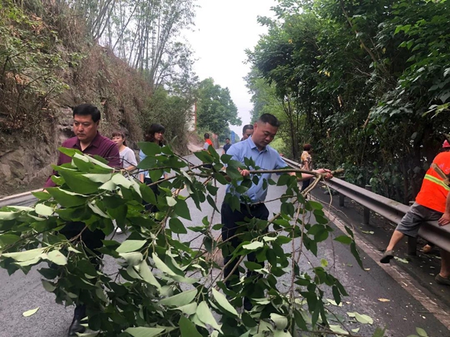 “喂——交通局吗？车子视野被路边树丫挡了，你们可以来处理不？”(图1)