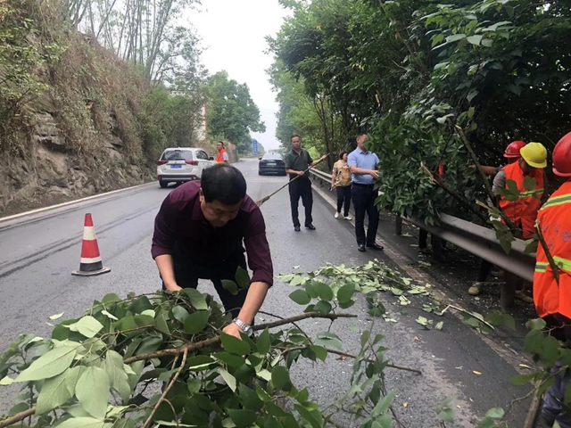 “喂——交通局吗？车子视野被路边树丫挡了，你们可以来处理不？”(图2)
