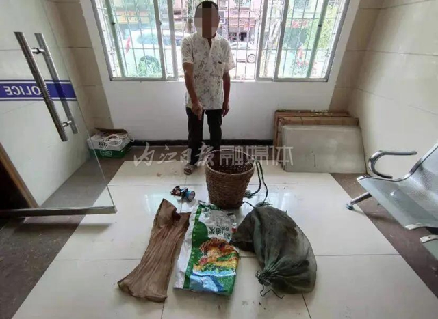 20只就犯罪！资中两男子私捕177只蟾蜍被法办(图3)
