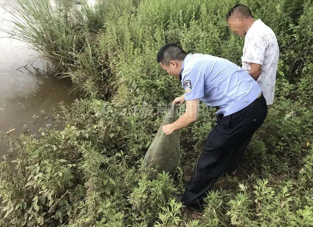 20只就犯罪！资中两男子私捕177只蟾蜍被法办(图4)