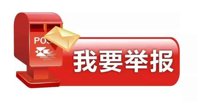 “光头强”落网——泸州侦破特大盗伐桢楠树案(图3)