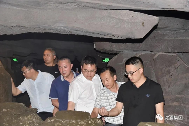 贵州省印江土家族苗族自治县政协领导考察沈子国酒庄(图21)