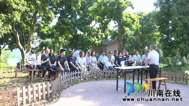 合江：百年荔枝林里忆百年党史(图1)