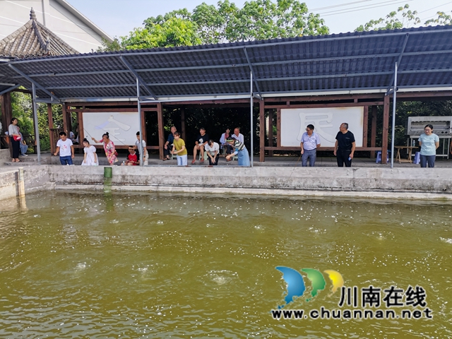 泸县方洞镇：大头虾初长成，放钓上市生意好(图7)