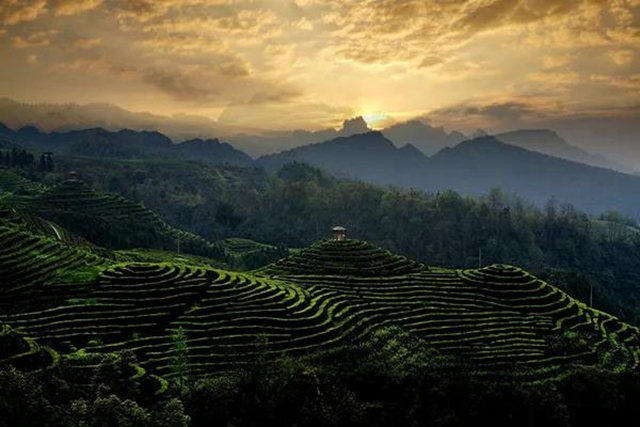农业农村部点名！宜宾这个地方获推介(图3)