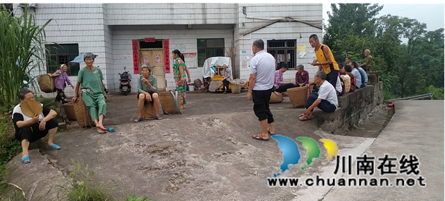 隆昌亚鑫农业有限公司助力乡村振兴发展，向家乡捐赠鸡苗上万只(图1)