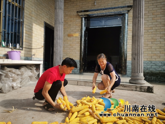 泸县云龙镇：评选“最美家庭”，弘扬文明新风(图2)