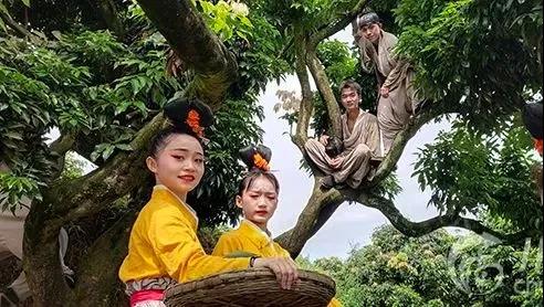 【扩散】合江荔枝来了!300架无人机炫酷助阵(图7) 【扩散】合江荔枝来了!300架无人机炫酷助阵(图7)