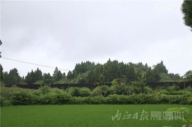 内江又一地方入选省级重点旅游村！来看看是哪里(图16)