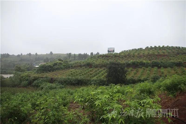 内江又一地方入选省级重点旅游村！来看看是哪里(图5)