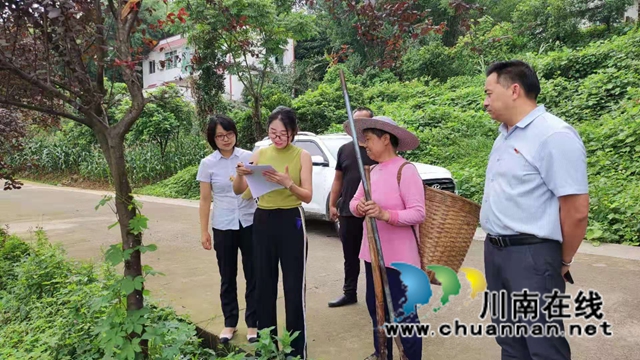 纳溪区行政审批局：做实森林防灭火督查，防患未“燃”(图2)