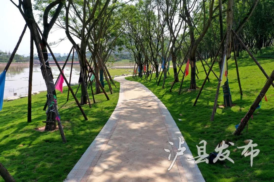 有点好看！泸县城西龙湖湿地公园带着最新进展“拍了拍”你(图2)