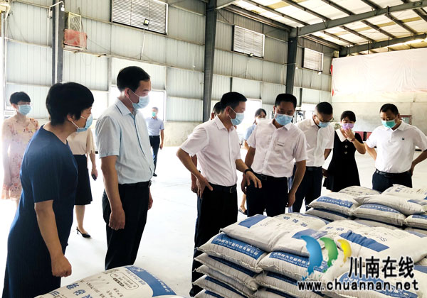 付小平到泸州民建会员企业时为节能科技有限公司调研(图2)