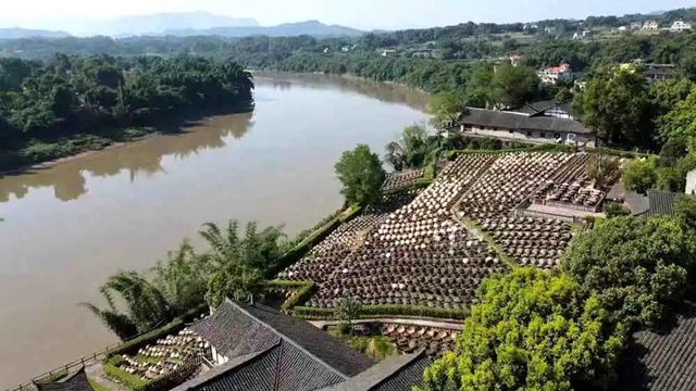 合江：水清鱼跃酱油香(图1)