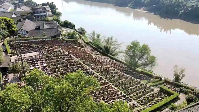 合江：水清鱼跃酱油香(图2)