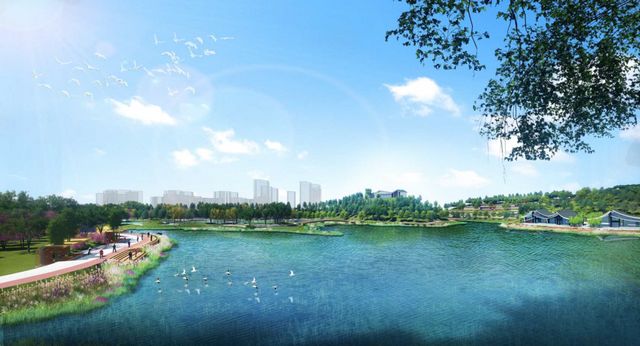 规划面积30公顷！宜宾这个地方将新增一处湿地公园！(图4)