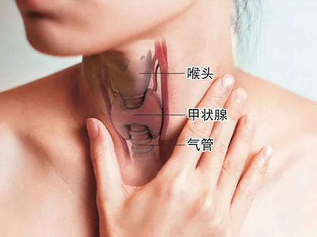 【关注】这个“善良的癌症”,女性发病率是男性的3倍!(图3) 【关注】这个“善良的癌症”,女性发病率是男性的3倍!(图3)