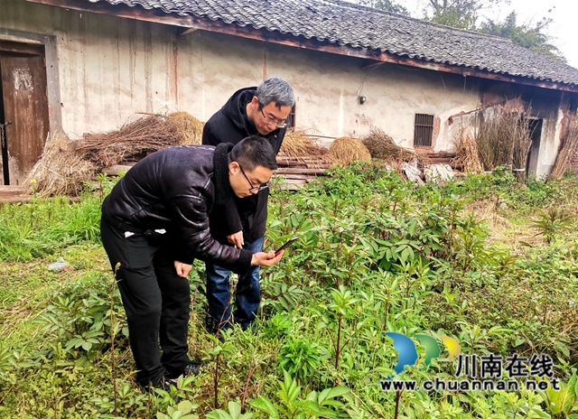 泸县石桥镇打响禁毒攻坚战(图3)