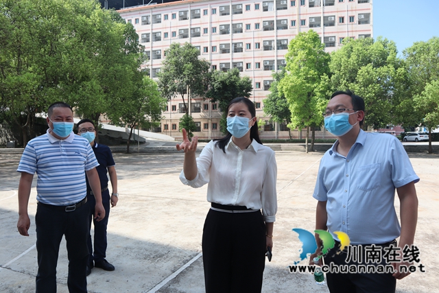 冯怀玉到泸县云龙镇督导乡村文化振兴样板镇建设工作(图3)