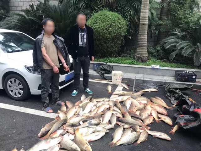 泸州两起公安部督办案件均因非法捕鱼(图9) 泸州两起公安部督办案件均因非法捕鱼(图9)