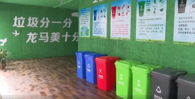 龙马潭区全面推进生活垃圾分类全链条管理(图2)