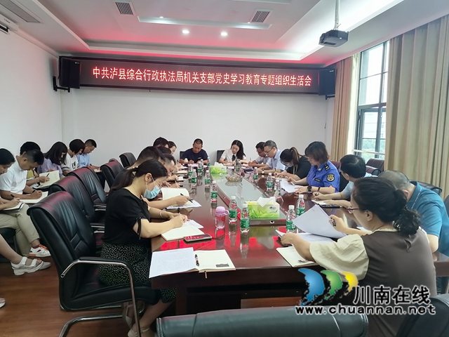 泸县综合行政执法局机关党支部召开党史学习教育专题组织生活会(图2)
