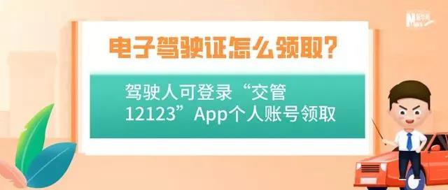 @自贡司机,9月起出门不用带驾照咯!(图7) @自贡司机,9月起出门不用带驾照咯!(图7)
