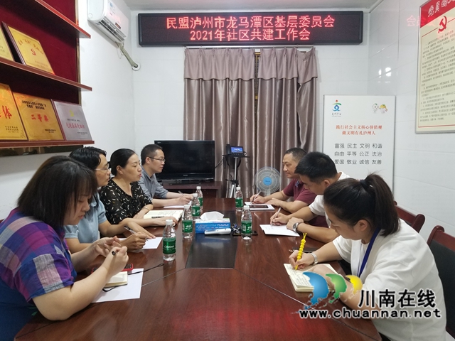 凝心聚力·共建共享｜民盟龙马潭区基层委员会与下大街社区召开共建座谈会(图1)