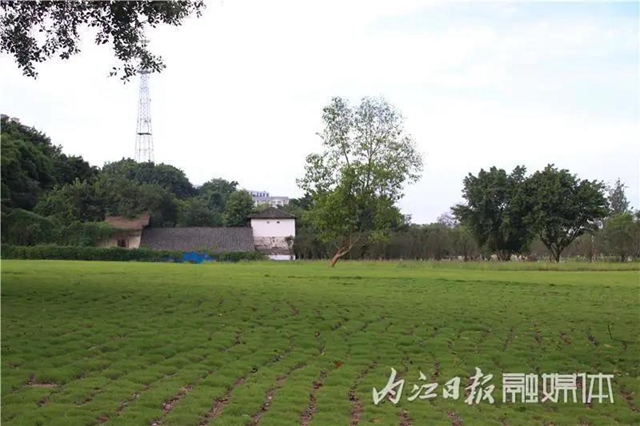 变得不敢相信!内江大自然湿地公园要来啦!(图2) 变得不敢相信!内江大自然湿地公园要来啦!(图2)