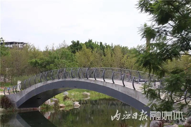 变得不敢相信!内江大自然湿地公园要来啦!(图3) 变得不敢相信!内江大自然湿地公园要来啦!(图3)