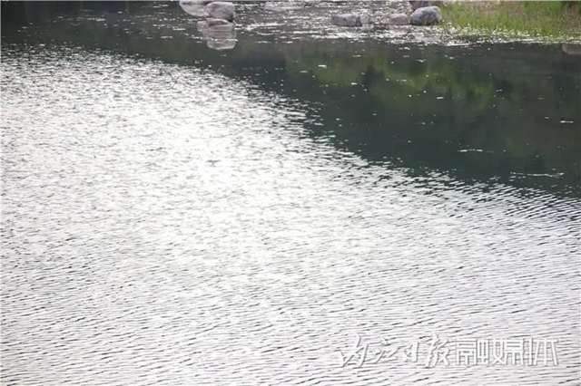 变得不敢相信!内江大自然湿地公园要来啦!(图4) 变得不敢相信!内江大自然湿地公园要来啦!(图4)