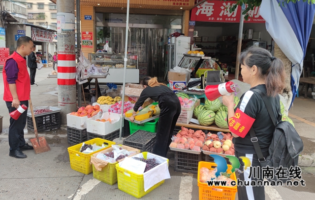 泸县海潮镇集中开展“文明行动日”活动(图4)