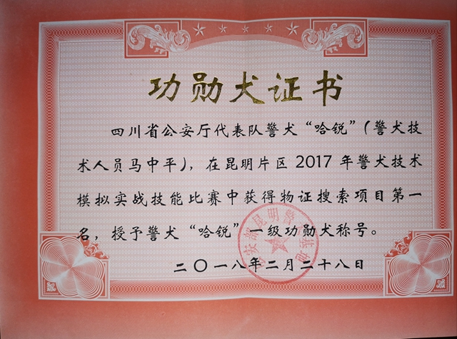 训犬建功！泸州马中平被评为“最美警务辅助人员”(图3)