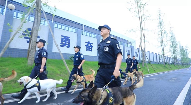 训犬建功！泸州马中平被评为“最美警务辅助人员”(图7)