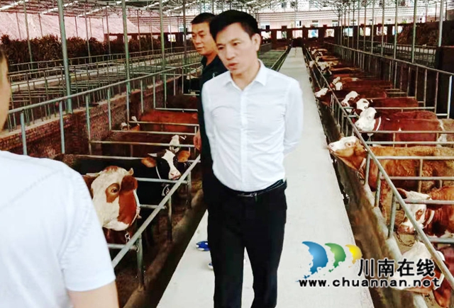 农民工变身副镇长，宜宾叙州区选好用好“领头羊”(图2)