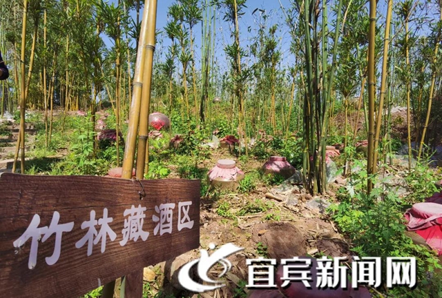 全国公布！宜宾这个村上榜！四川只有10地(图4)
