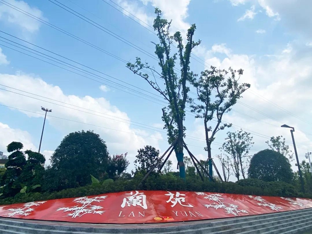 休闲娱乐新去处！市树市花示范园即将开放，就在翠屏这里……(图3)