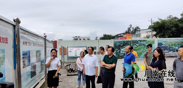 泸州：组织文艺家到合江开展采风调研活动(图2)