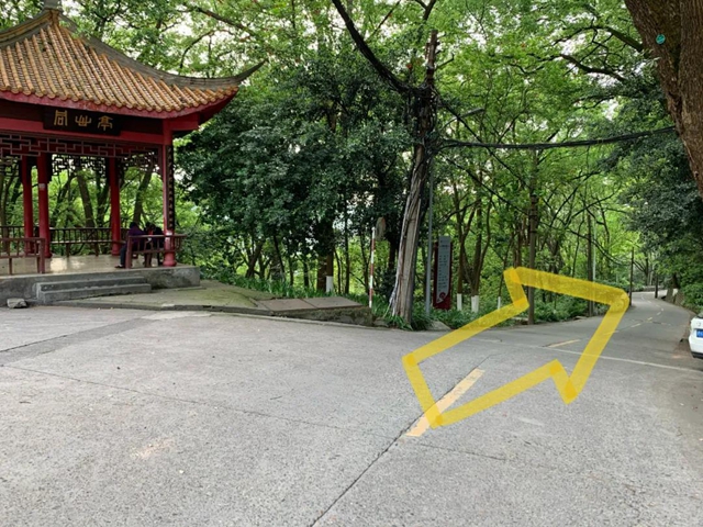 【围观】忠山新路标，大家都说好！(图16)