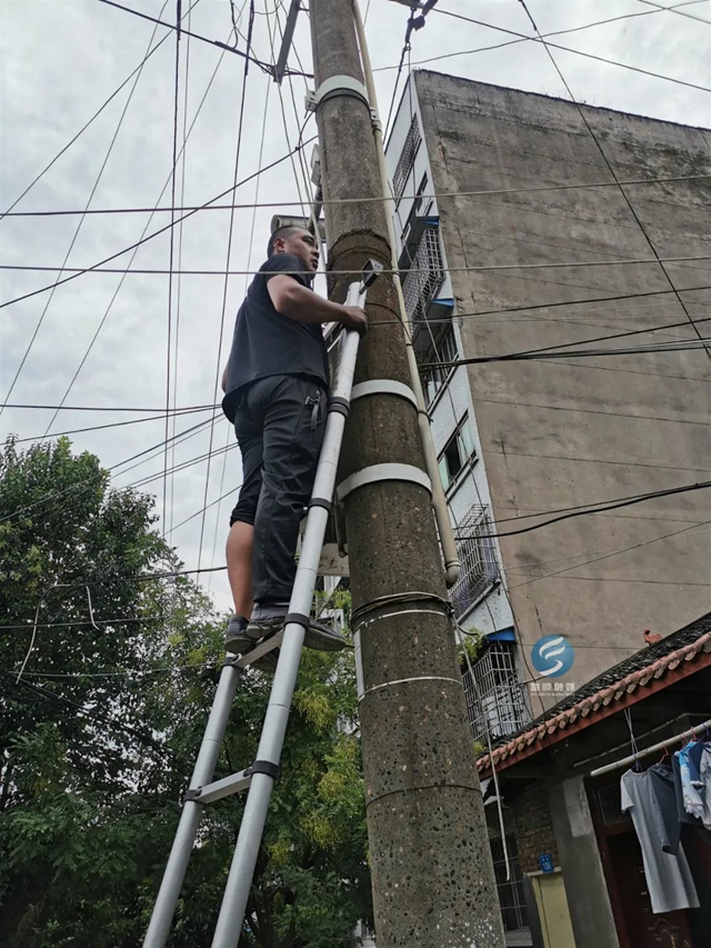 富顺重拳整治“空中蜘蛛网”,群众大呼过瘾!(图2) 富顺重拳整治“空中蜘蛛网”,群众大呼过瘾!(图2)